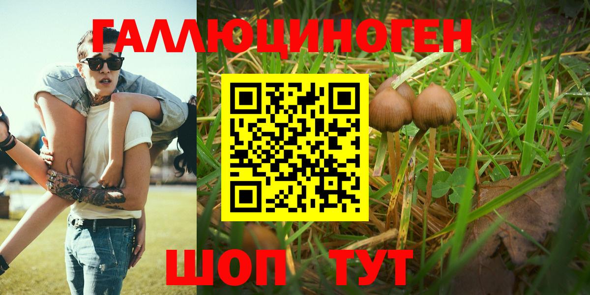 Псилоцибиновые грибы MAGIC MUSHROOMS  Вход с VPN  Будённовск 